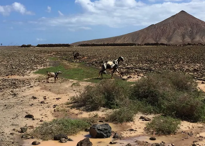 شقة Casa Carlotta