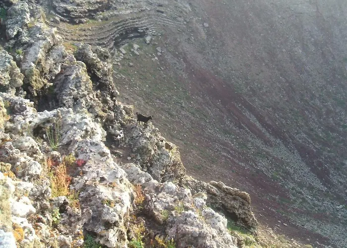 Casa Carlotta Lajares