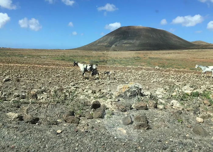 Casa Carlotta Apartman Lajares